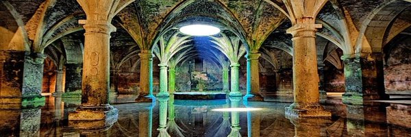 DuVasconcellos_ Profile Banner