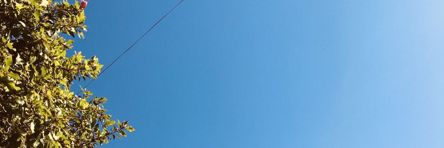 tberaam's profile banner image