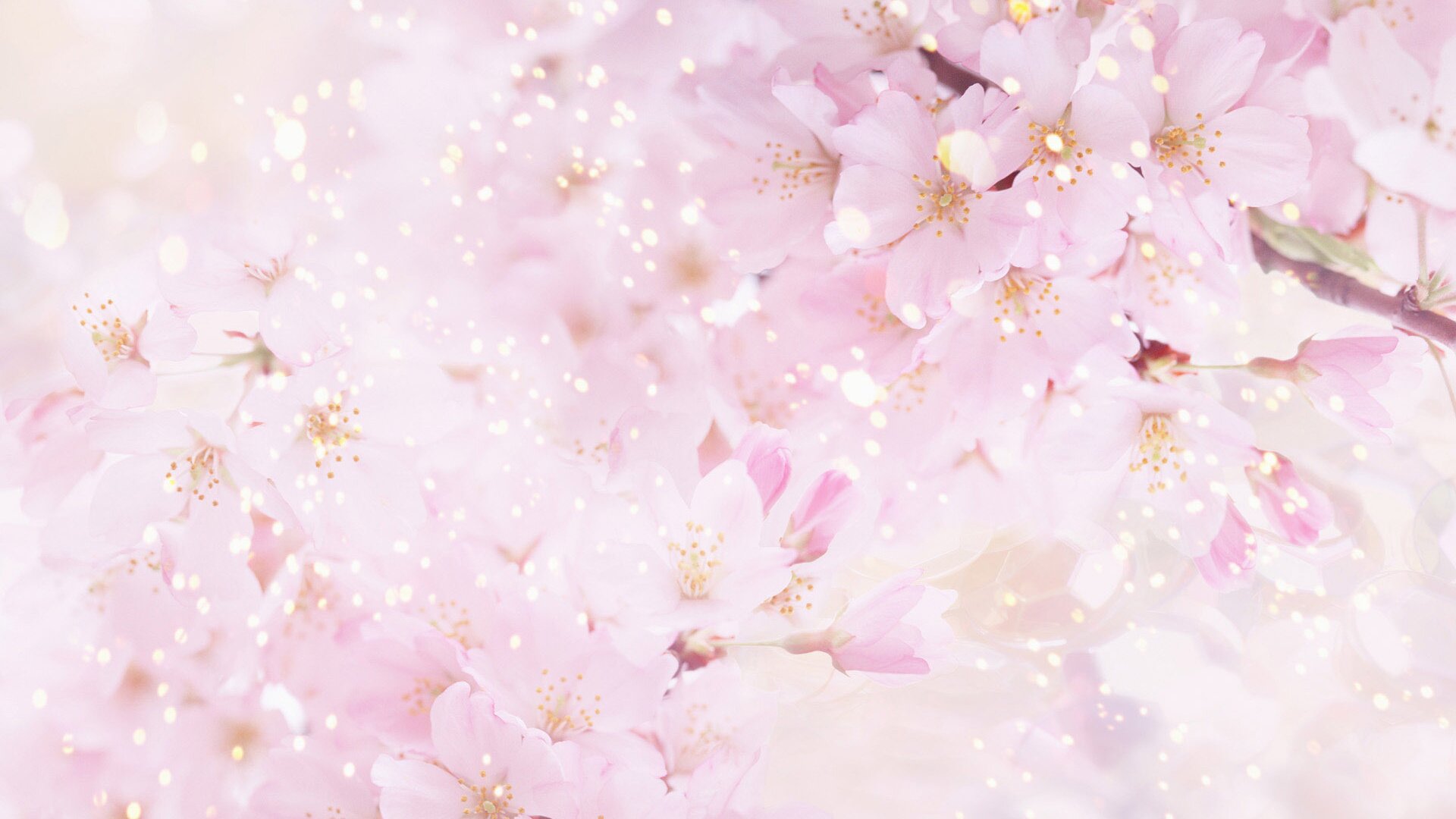 Molly! banner