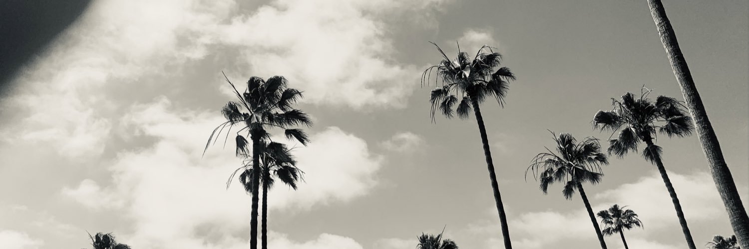 rieduran's profile banner image