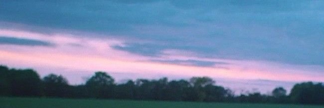 BettleJuicceAF's profile banner image