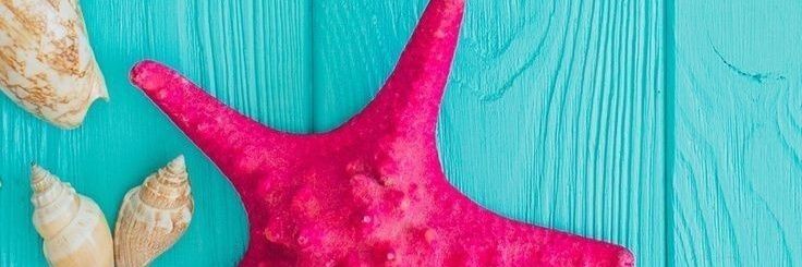 SaraS_____'s profile banner image