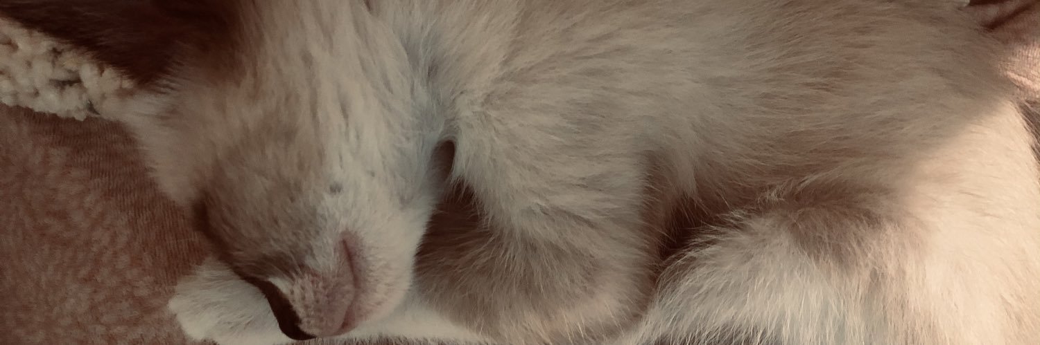 anacaro560's profile banner image