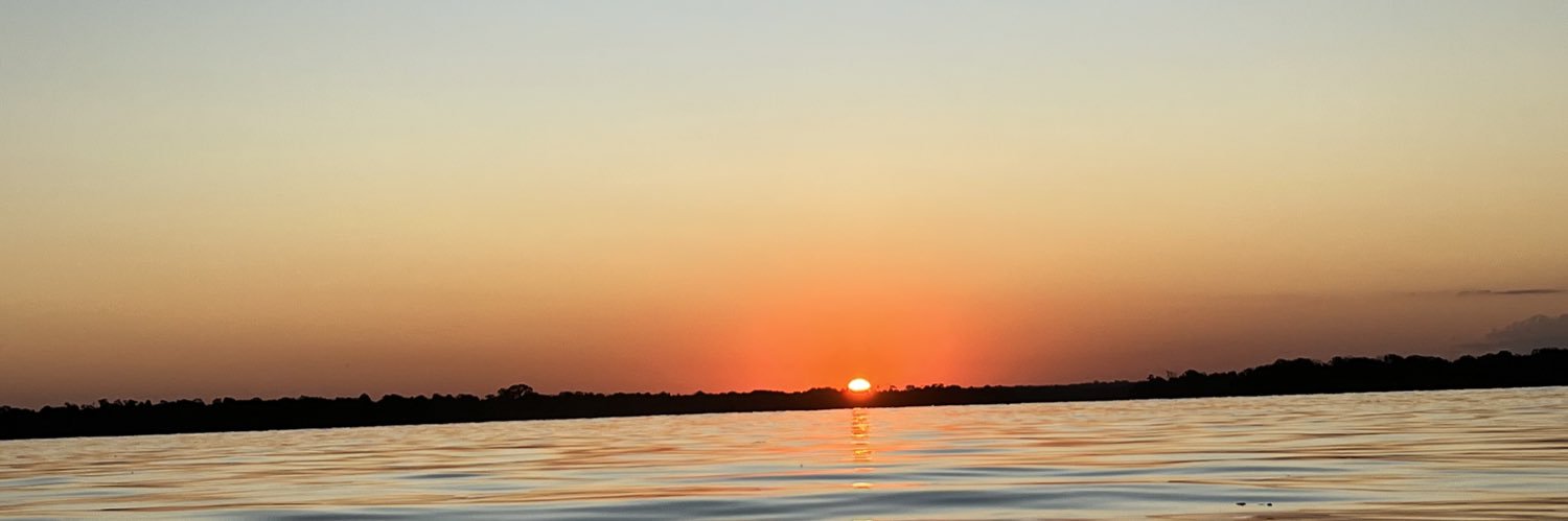 barrosonaara's profile banner image