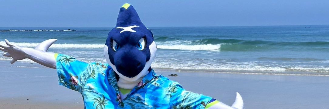 シェブロン🦈's banner
