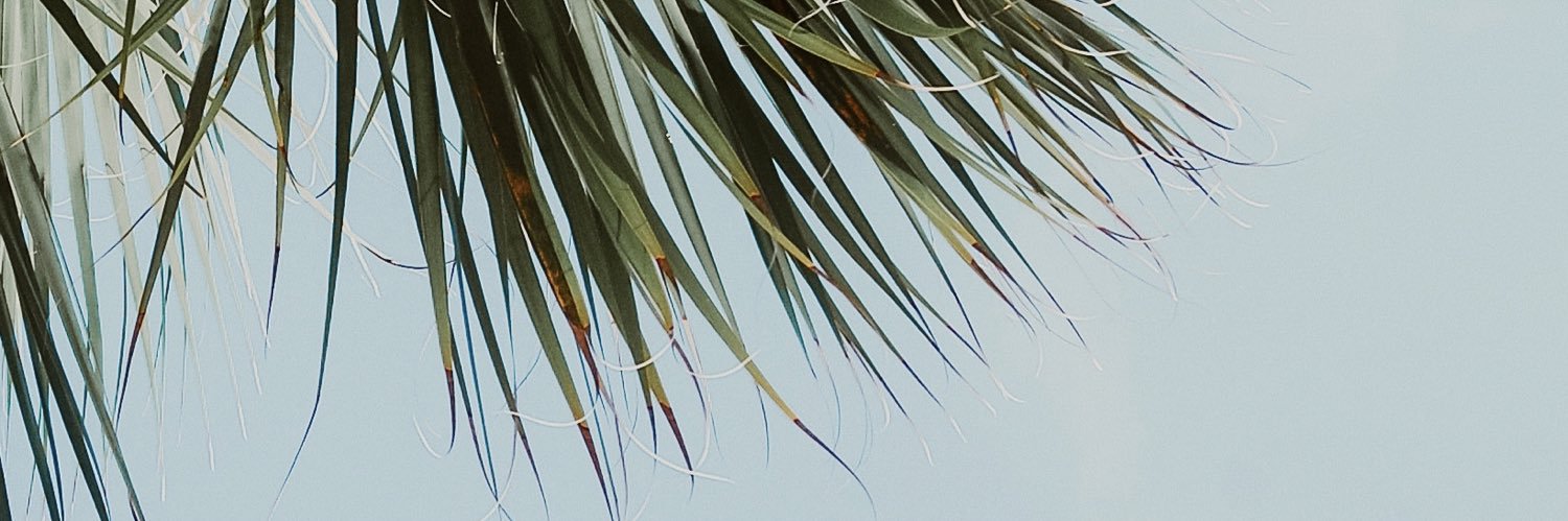 AmandaWolff_'s profile banner image