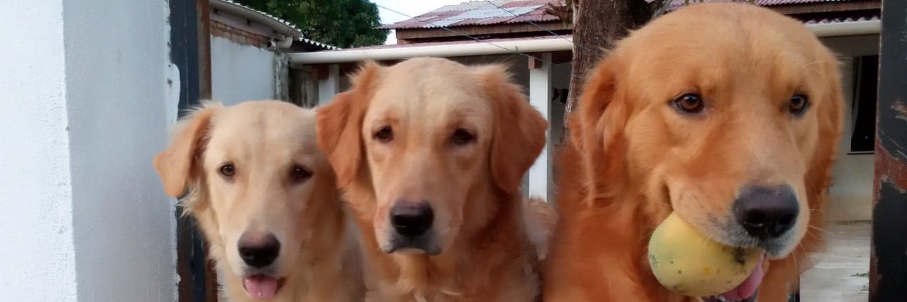 williamdinelly's profile banner image