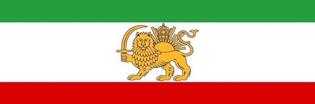 Dr. Megan Shah 👑🌞 🇺🇸🇮🇱 banner