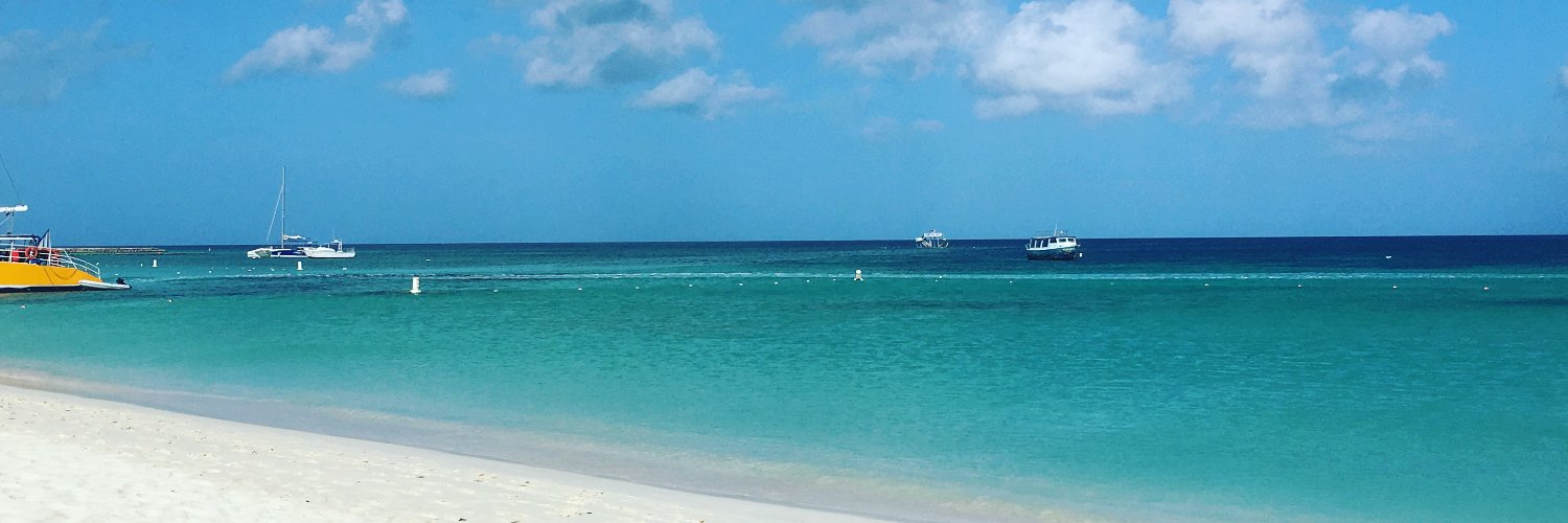 Nancy Frances🇺🇸🏳️‍🌈 banner