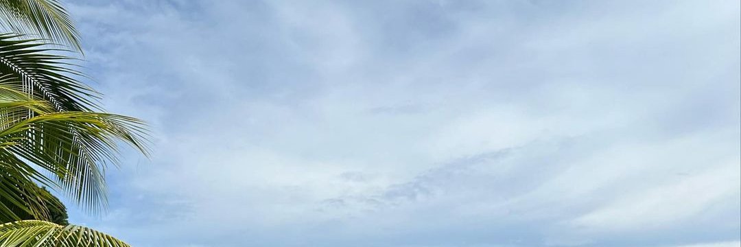 ElenaPeyt's profile banner image