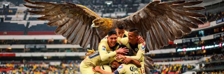 CHILLABOFO banner