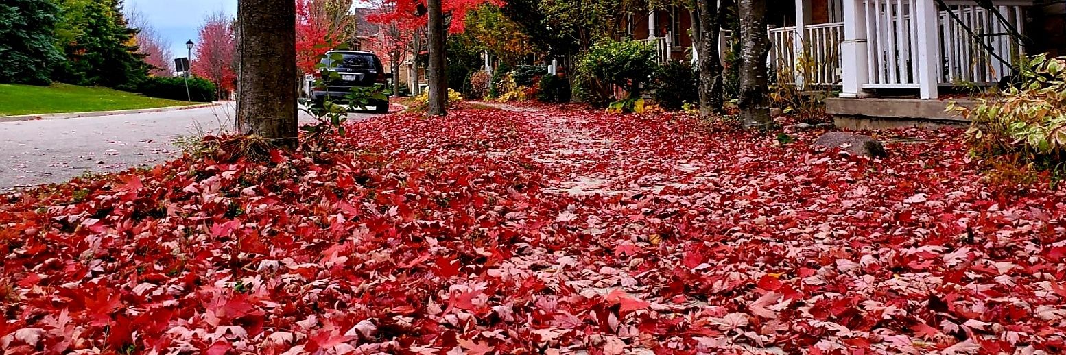 Love4Autumn's profile banner image