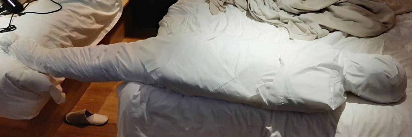 Mummy Figure banner