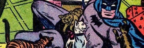 pchu;) banner