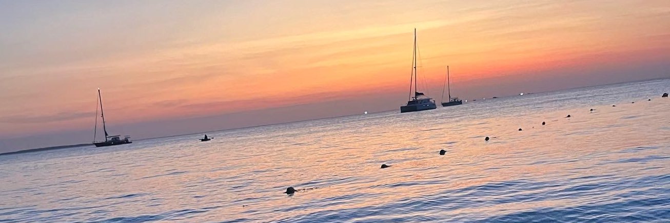 Ross Davidson banner