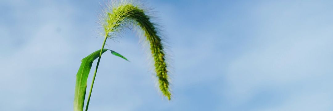 wrsrr_ banner