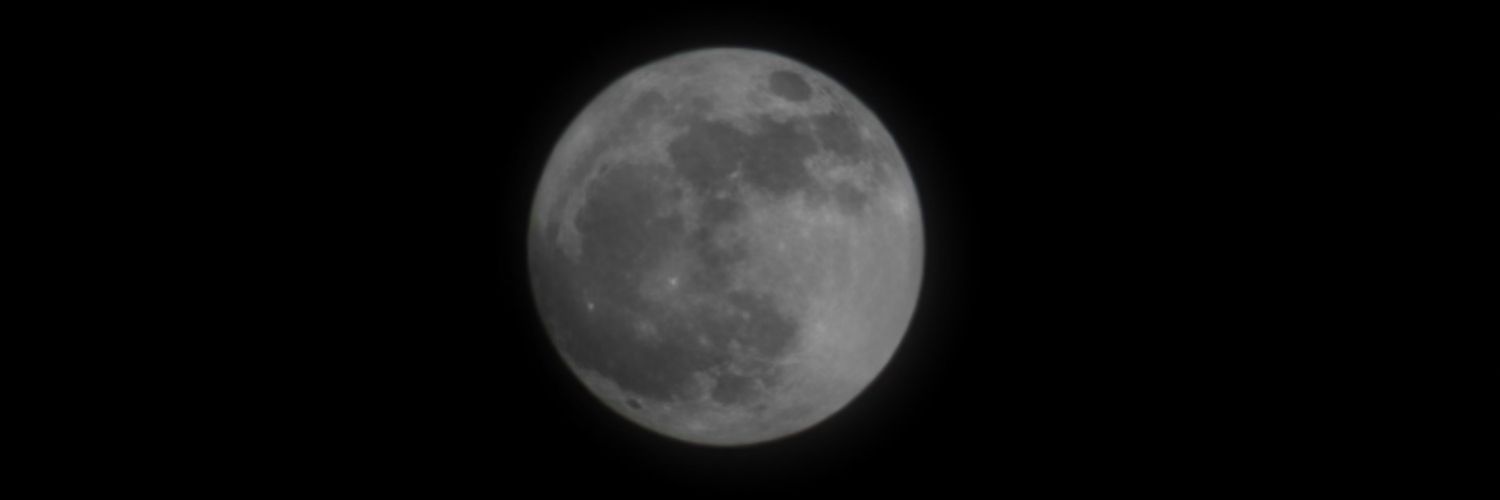 rebelechoo's profile banner image