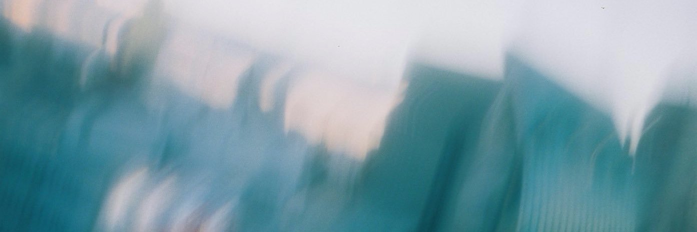 さかな banner