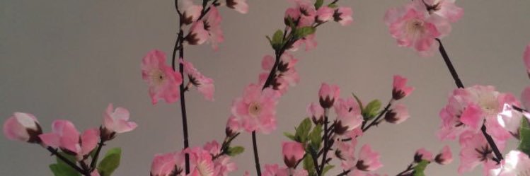 originalcbb's profile banner image