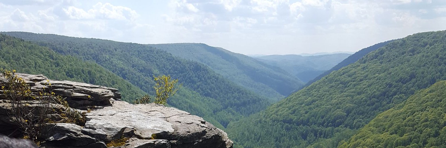 LumpyJr's profile banner image
