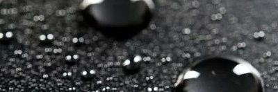 the_sfp banner