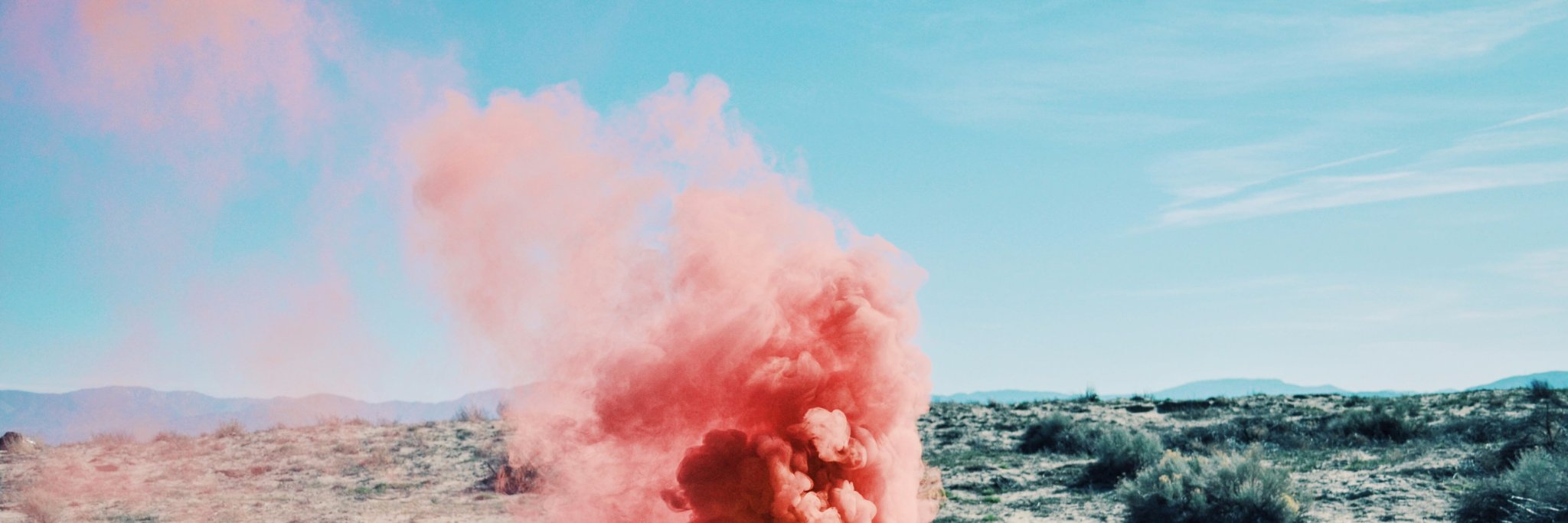 Tayler_Layne's profile banner image