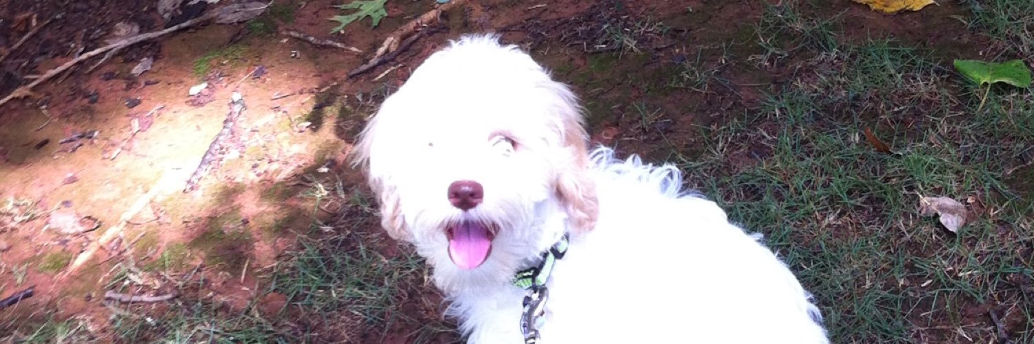 jimamathews's profile banner image