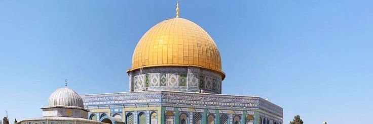 🇵🇸مرتضا🇮🇷 banner