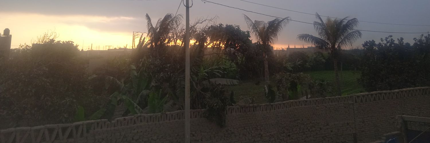 Ever Zavaleta banner