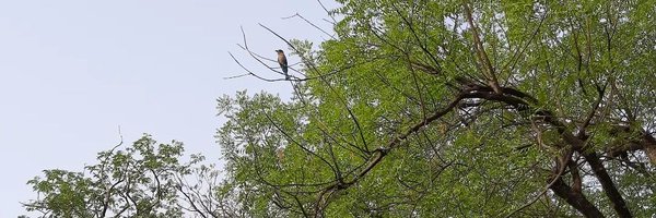 siddhant__barua Profile Banner
