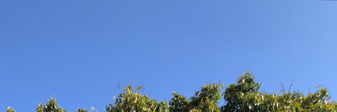 тот самый старый мельник banner