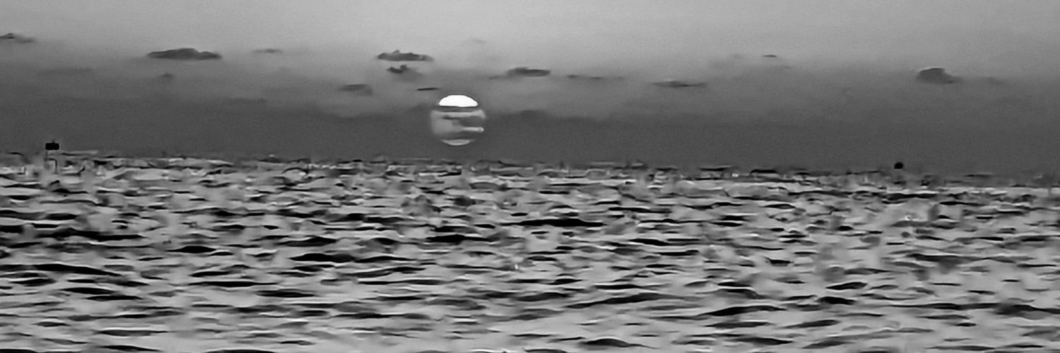 RVLEQUEUX's profile banner image