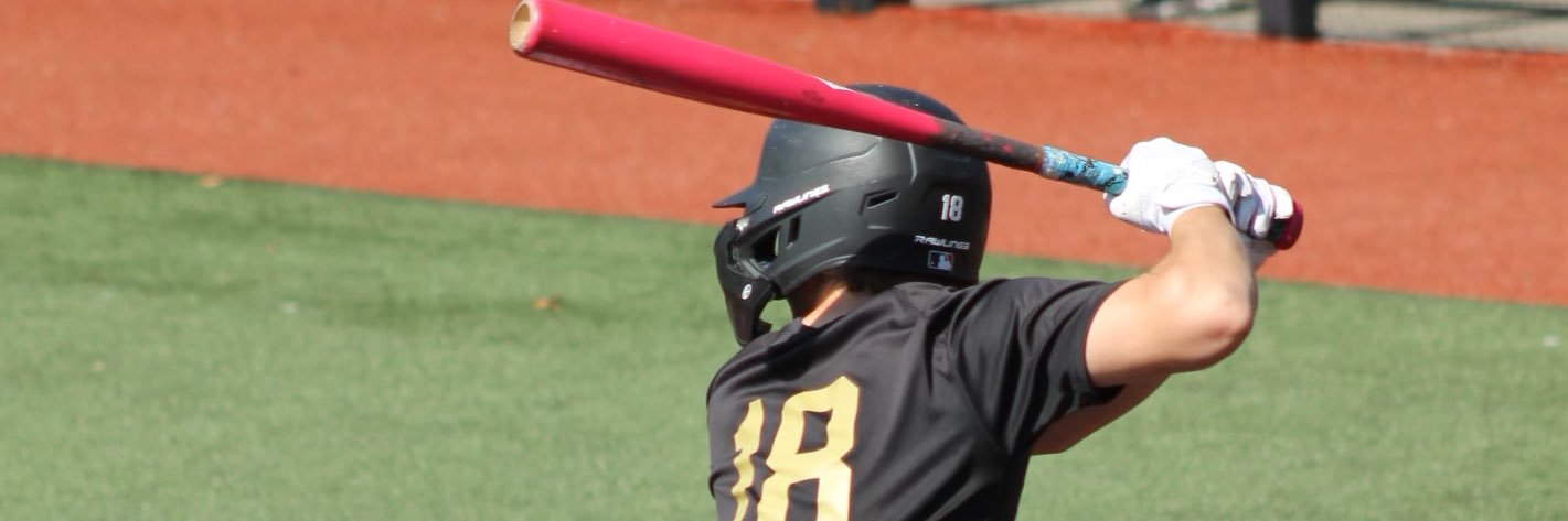 Blake Landsbaum banner