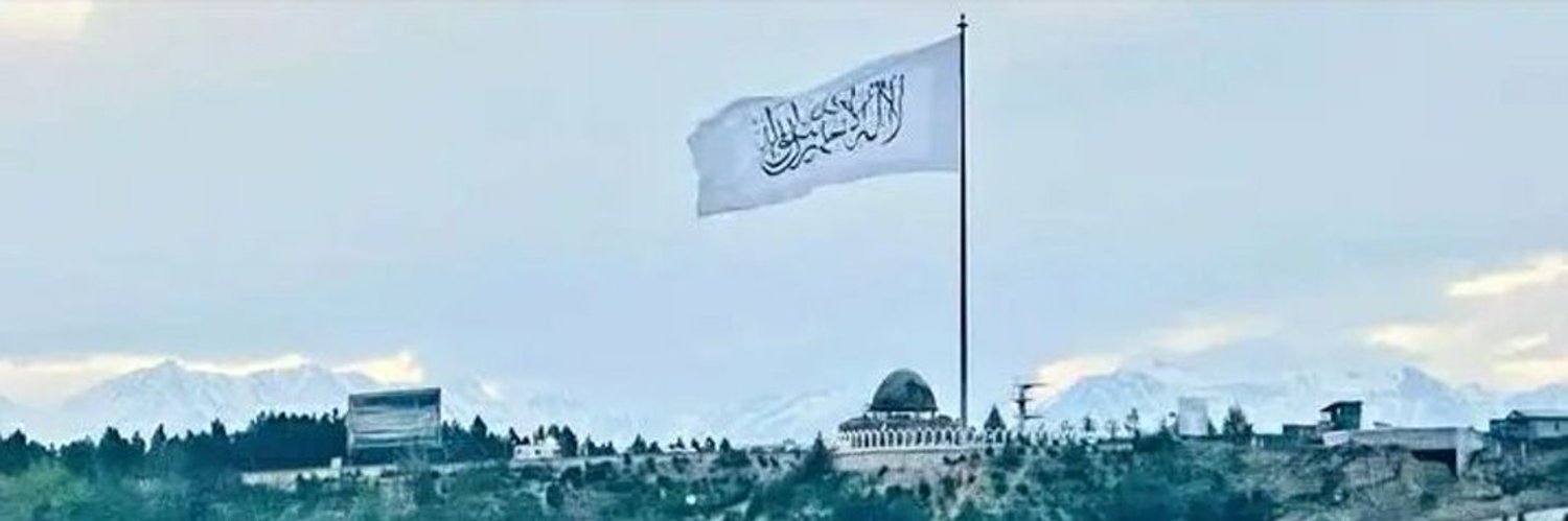 هجران بشار banner