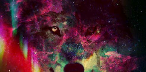 DAN_ALZATE's profile banner image