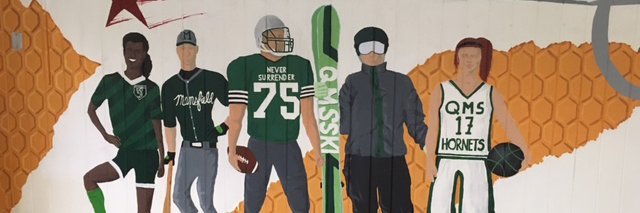 QMS White Team banner