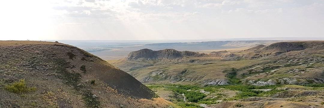 Samanda Brace banner