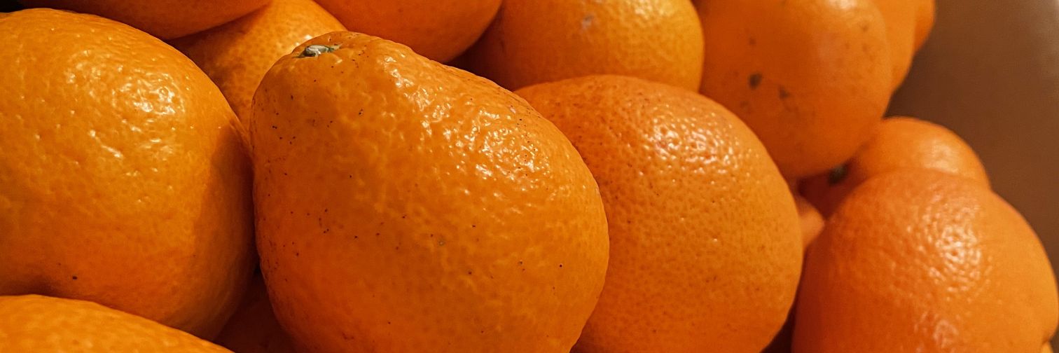 活きのいい瀬戸おぢ｜カフネ banner