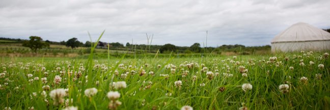Whistlewood Common banner