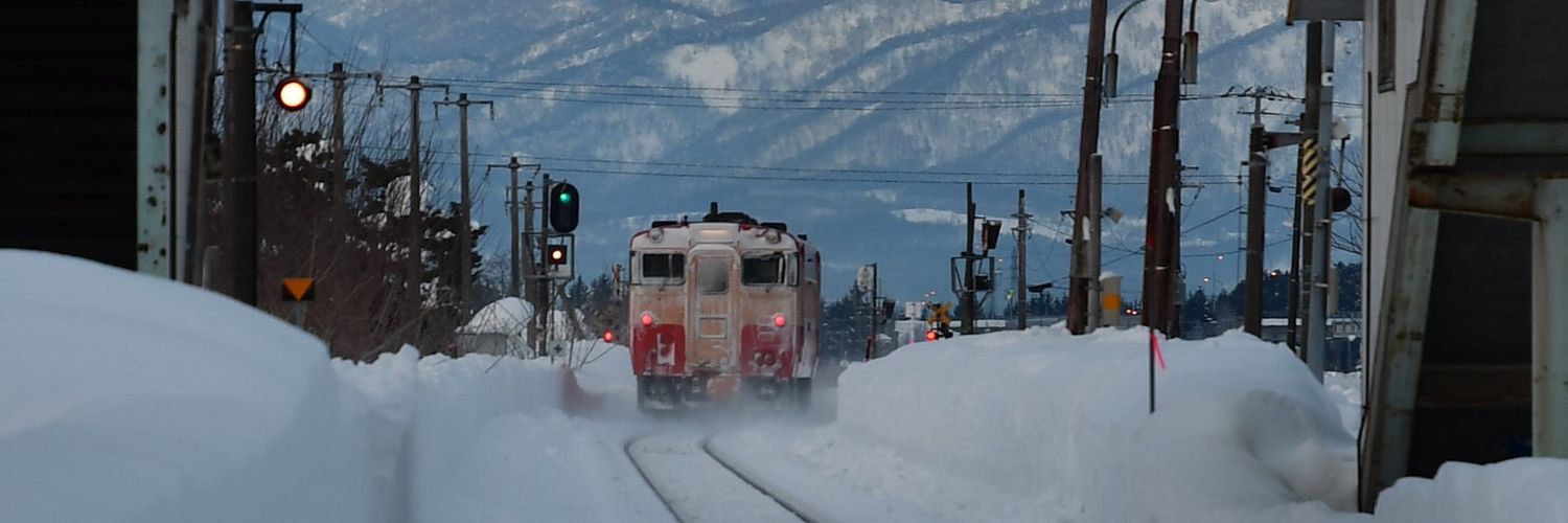 🏝もかちーの🦊 banner