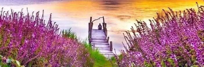 Leche y Chocolate banner