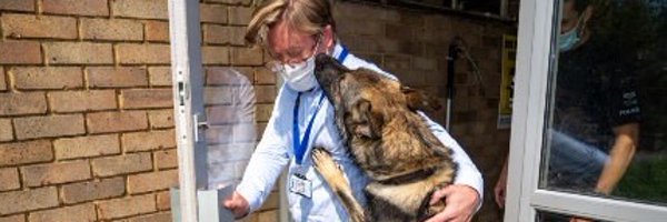 ProfPaulTaylor Profile Banner