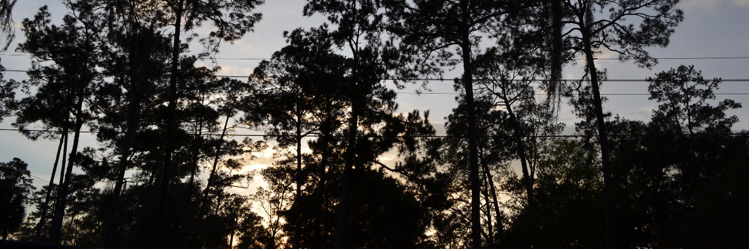 HoweryJillian's profile banner image
