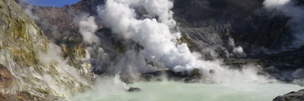 lcsnz Profile Banner