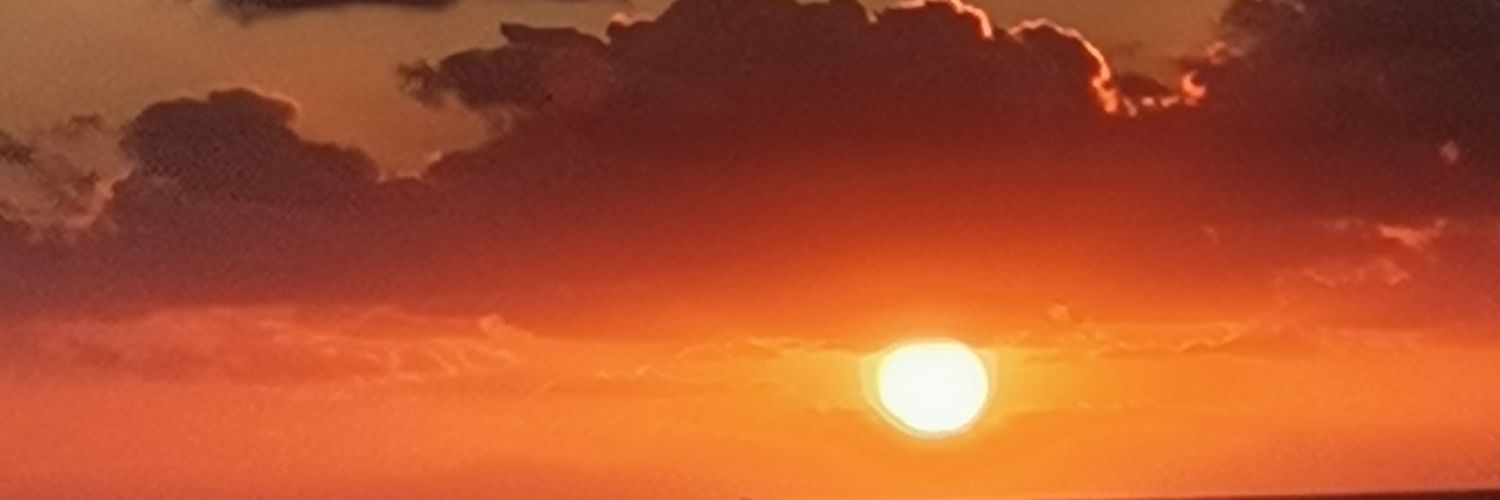 serkan351453's profile banner image