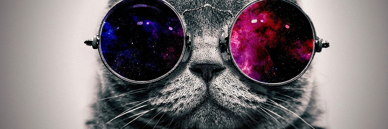 sofiafong's profile banner image