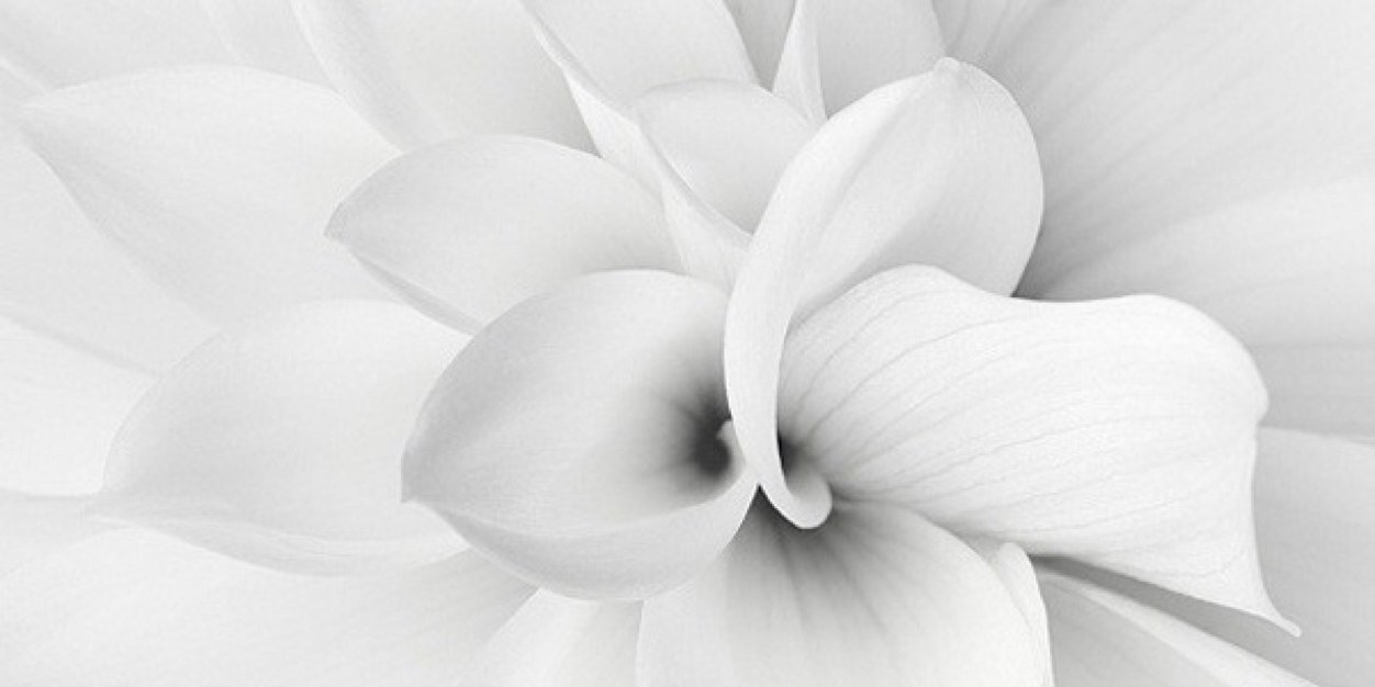 aleboni21's profile banner image