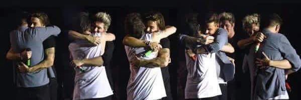 Formiguita*-* banner
