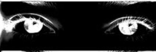 pipitarancia's profile banner image