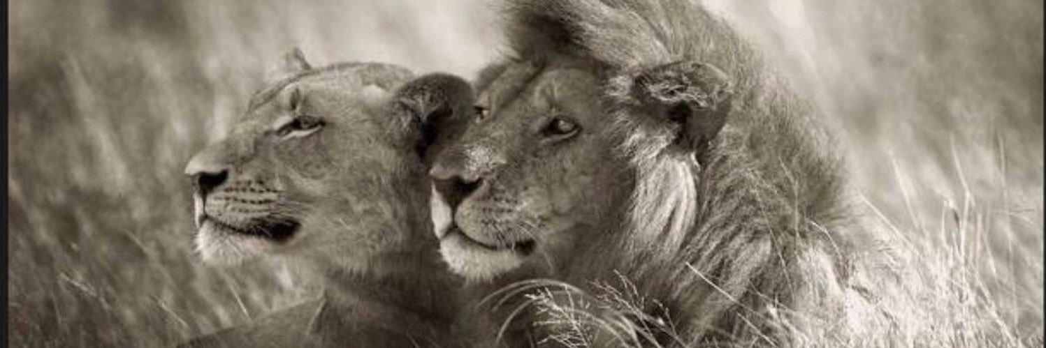 Alfonso Sánchez banner